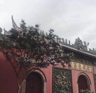 问鼎娱乐：助力公益活动建设，实现经济效益与社会效益的双赢！